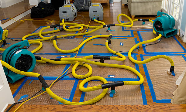 Professional Crawl Space Water Removal technician working in Woodbine, IA